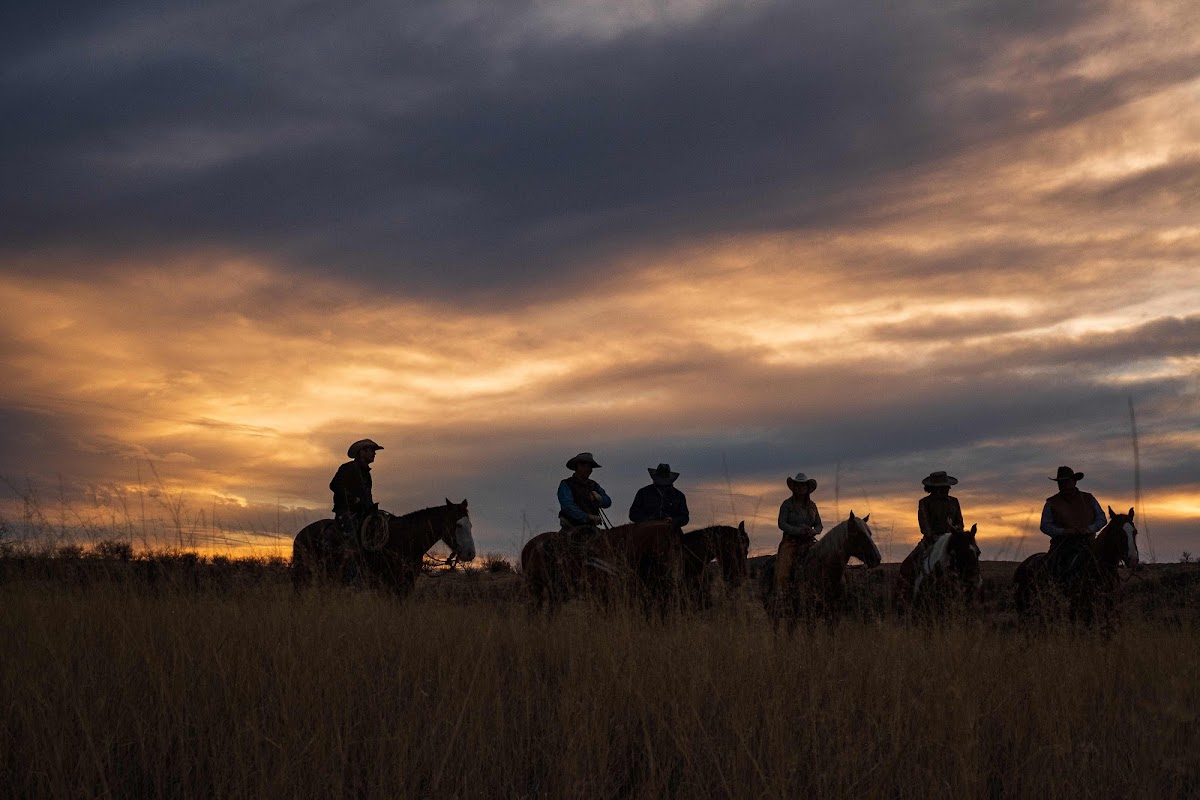 Circle Z Ranch
