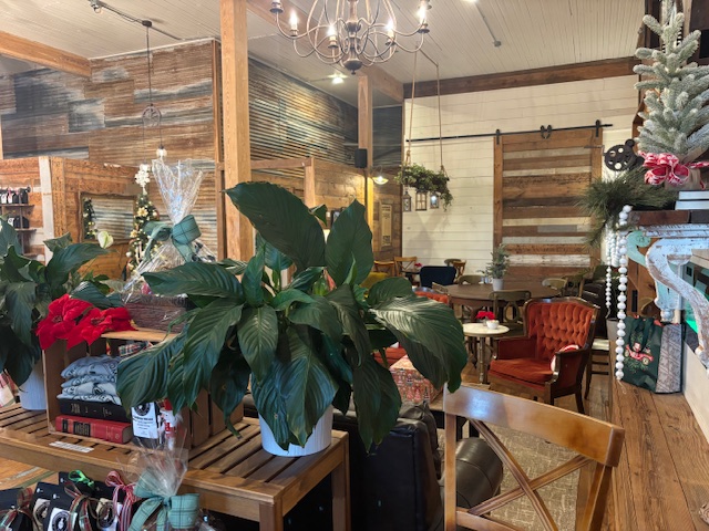 Cameron Coffee Company photo 4
