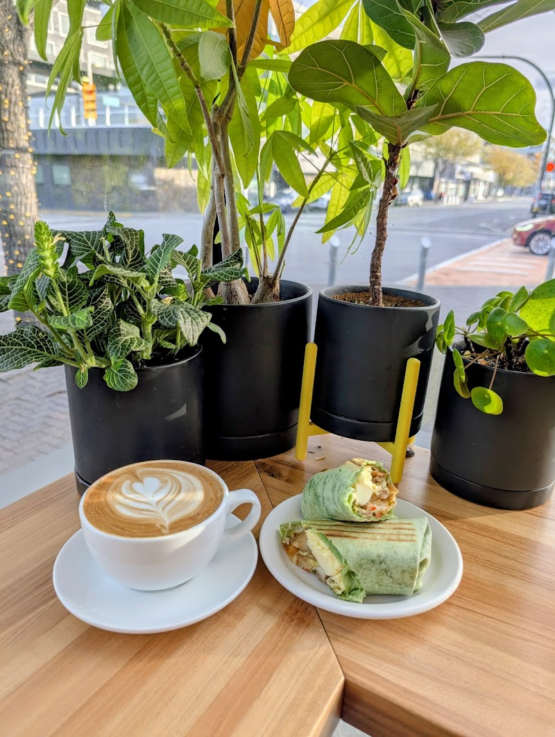 Amplified Cafe photo 3