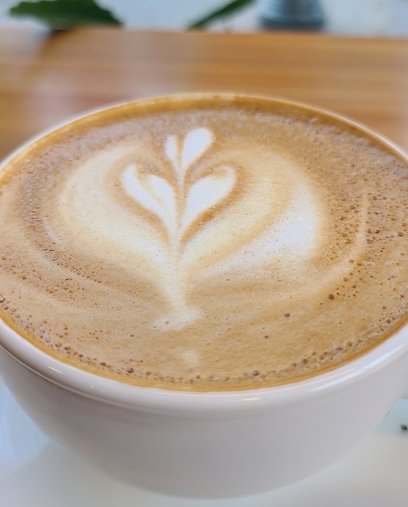 Amplified Cafe photo 4