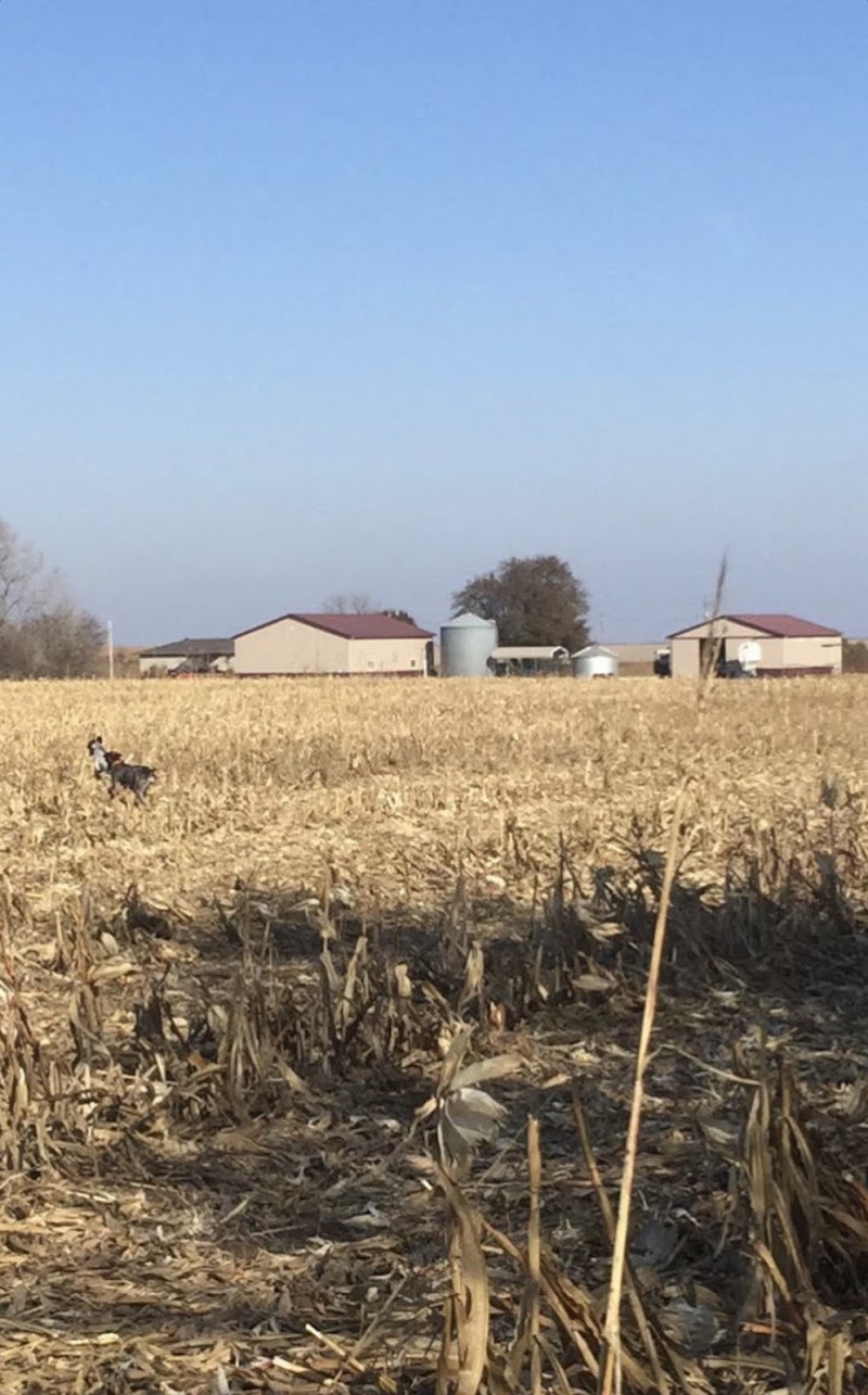 Walker Gamebirds & Hunting Preserve - Photo 4