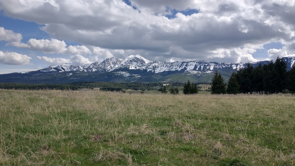 Big sky guides and outfitters of Montana