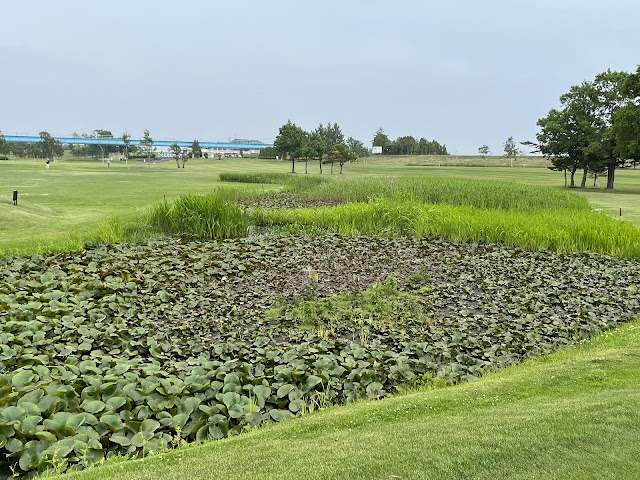 Minamiho Riverside Golf Course - Photo 6