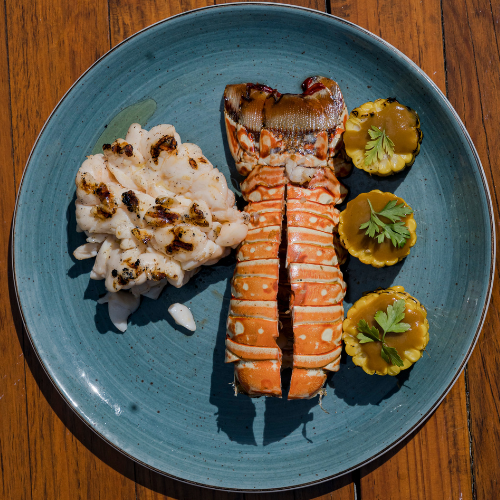 Fred's | The best seafood in Cancun photo 2