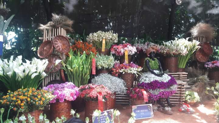 Jardín Botánico