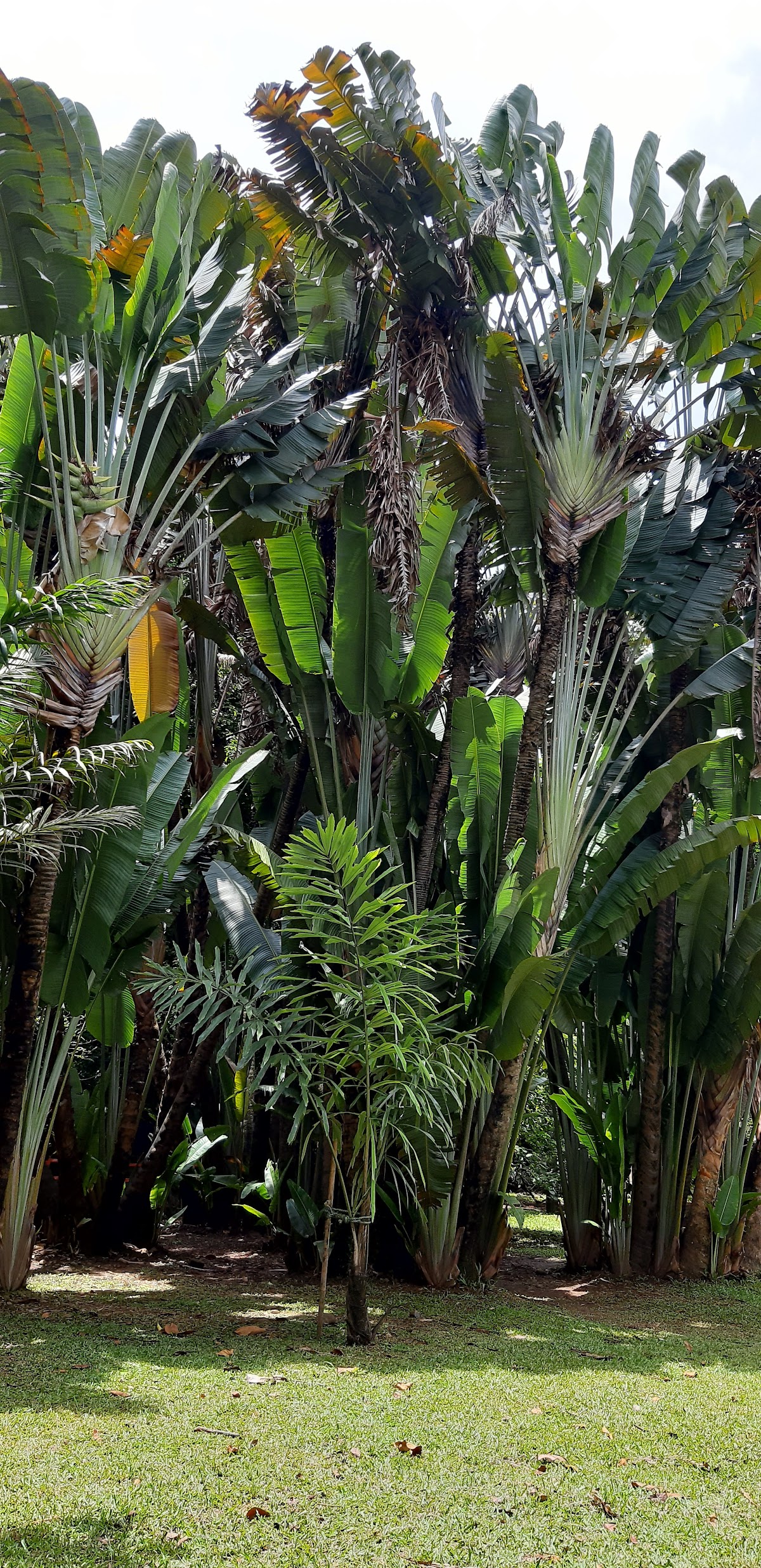 Jardín Botánico