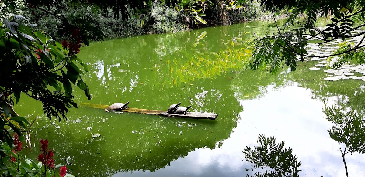 Jardín Botánico