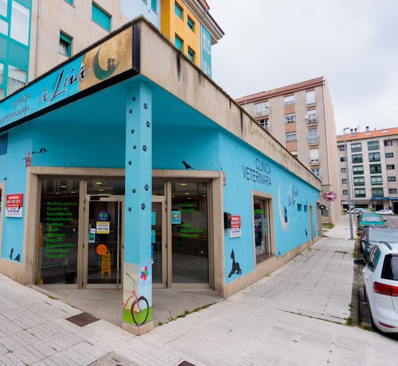 Hospital Veterinario A Media Lúa photo 4