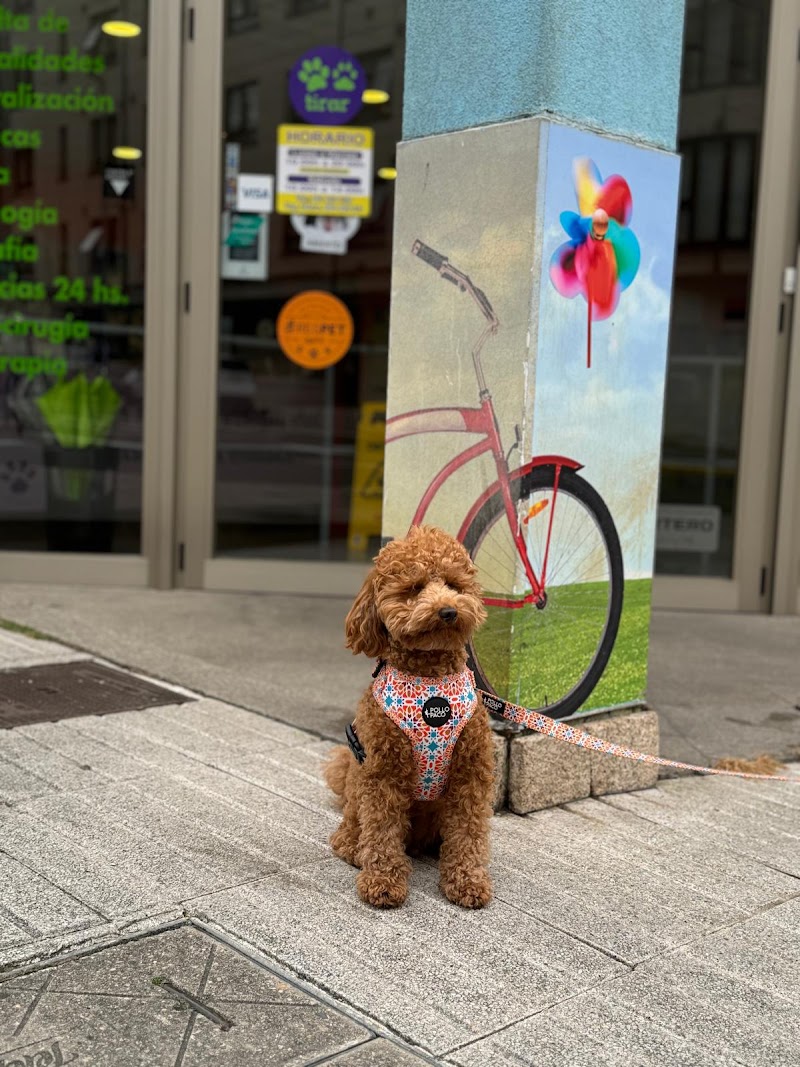Hospital Veterinario A Media Lúa photo 5