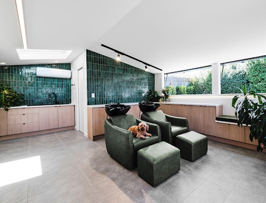 brookereffohair photo 3