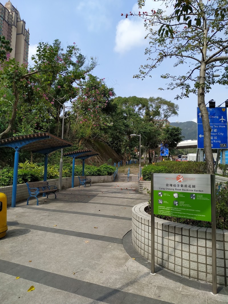 Lung Cheung Road Bauhinia Garden