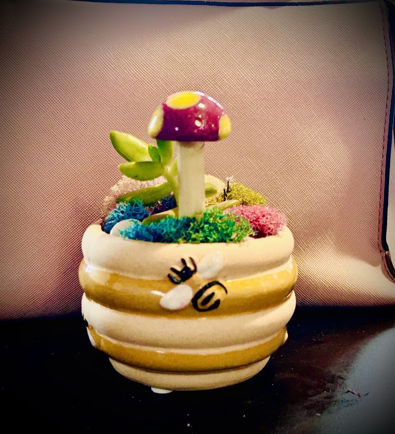 Blossom Cafe photo 3
