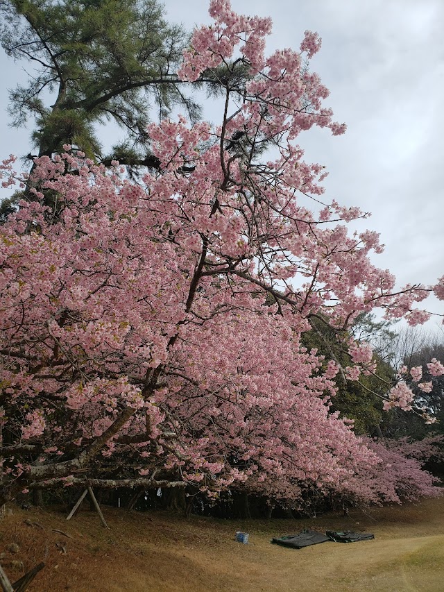 Aoi Country Club - Photo 2