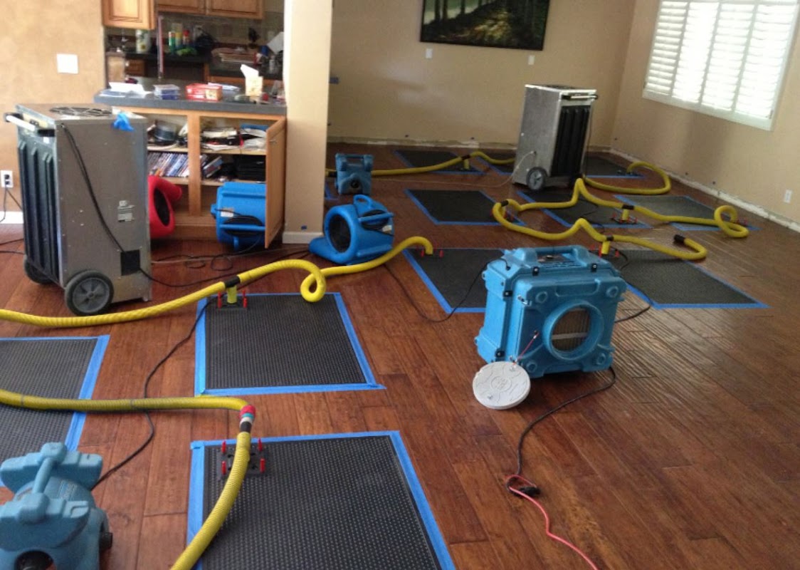 Nexus Water Damage Restoration Fort Lauderdale — photo