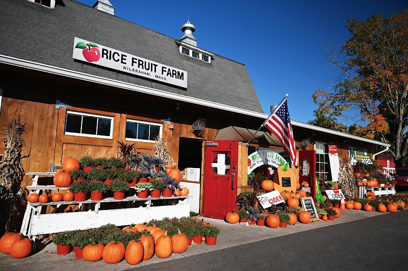 Rice Fruit Farm photo 1