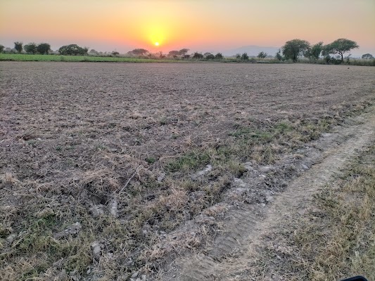 Tanzeem Nojwanan-e-Millat Sanghoi