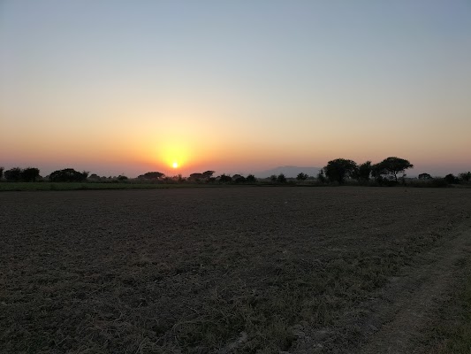 Tanzeem Nojwanan-e-Millat Sanghoi