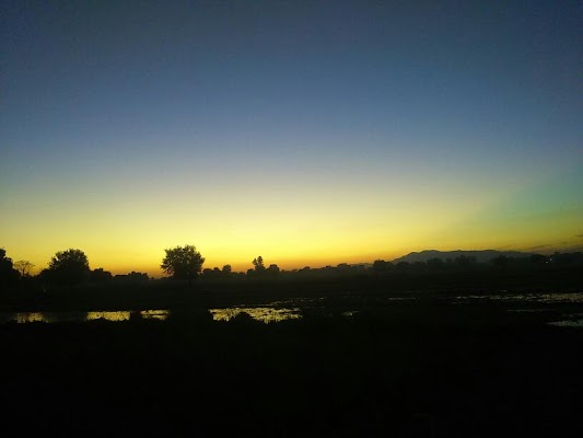 Tanzeem Nojwanan-e-Millat Sanghoi