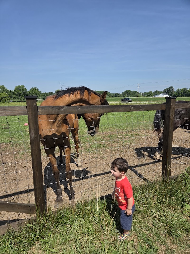 Cows and Coffee photo 1