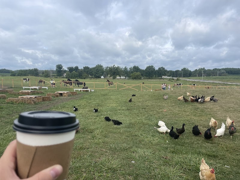 Cows and Coffee photo 2