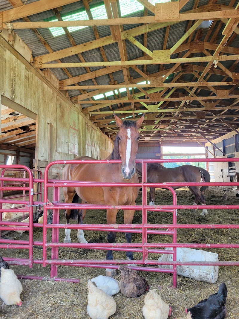 Cows and Coffee photo 2