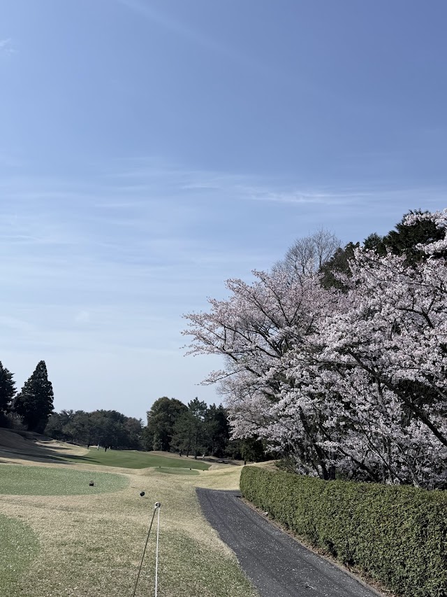 Sanyo Golf Club - Photo 8