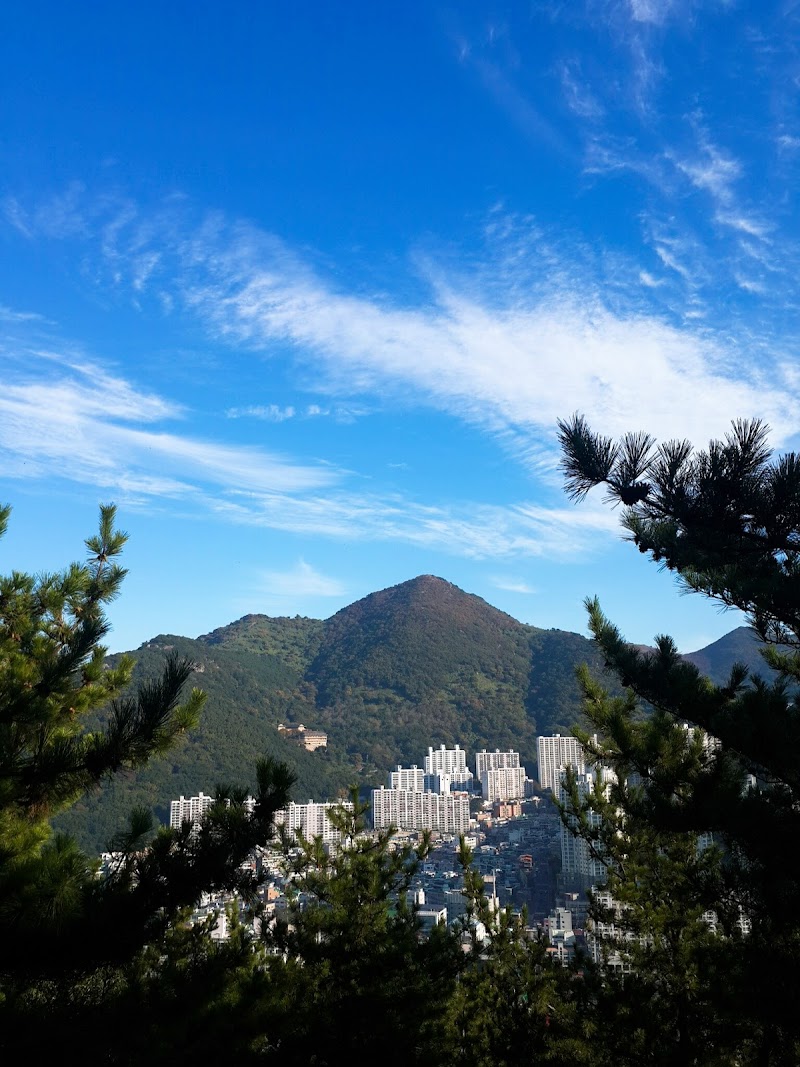 동매산 반려동물 동반 여행지