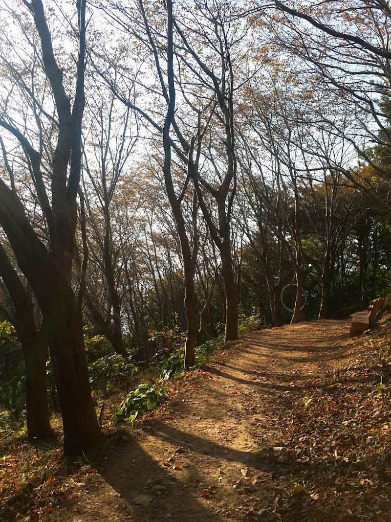동매산 사진 5