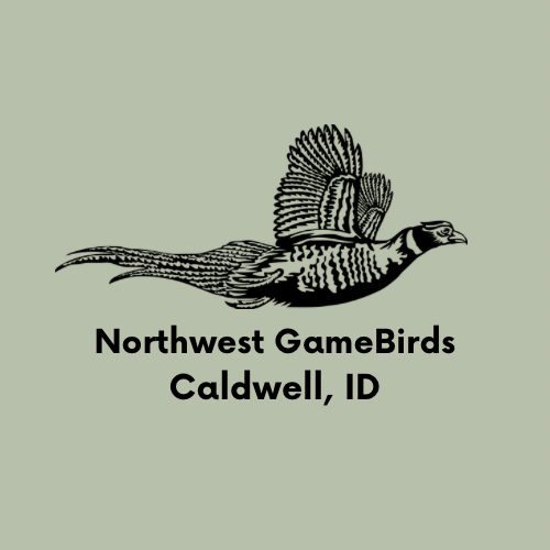 Northwest Game Birds - Photo 2
