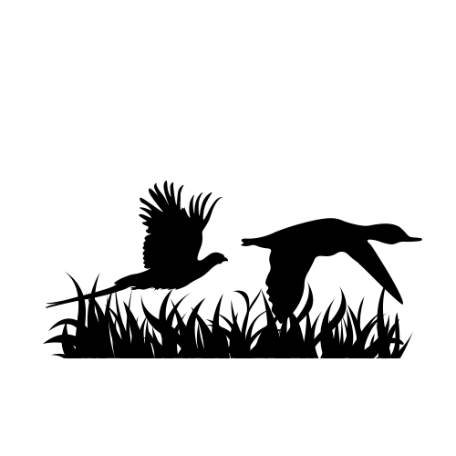 Northwest Game Birds - Photo 1