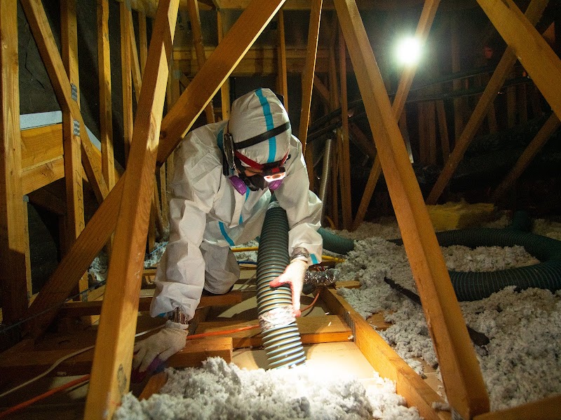 Green Rodent Restoration of Orlando - Energy & Home Automation in Windermere