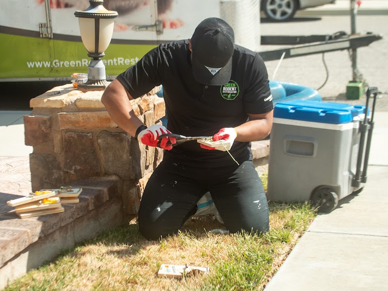 Green Rodent Restoration of Orlando - Energy & Home Automation in Windermere