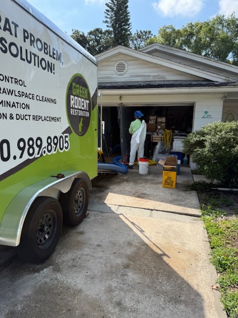 Green Rodent Restoration of Orlando - Energy & Home Automation in Windermere