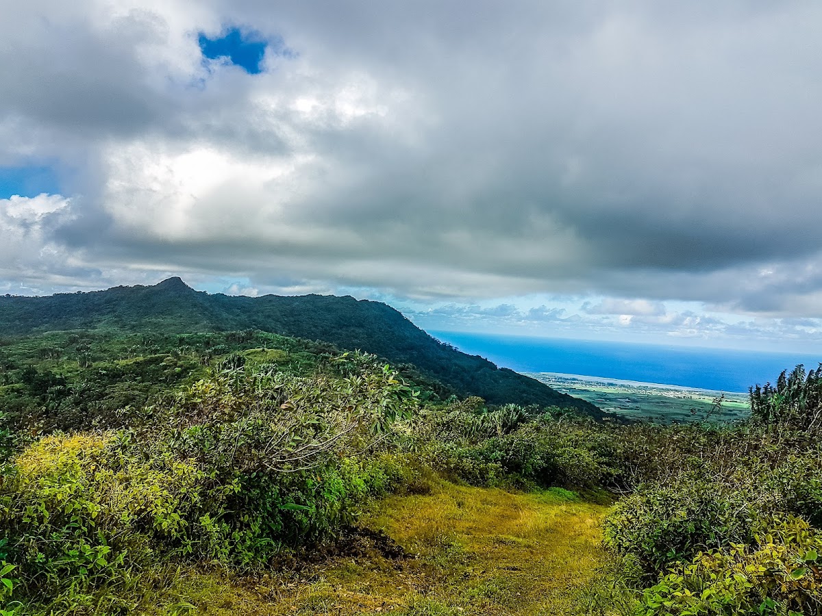 Piton Savanne