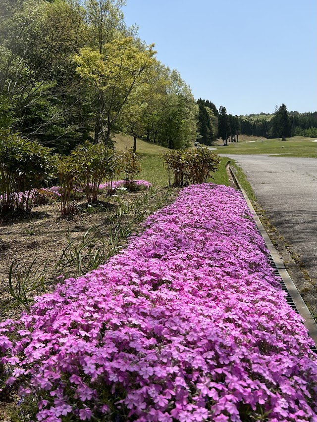 Akira Golf Club Shokawa Golf Course - Photo 8