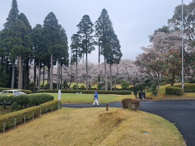 Mizobe Country Club - Photo 10