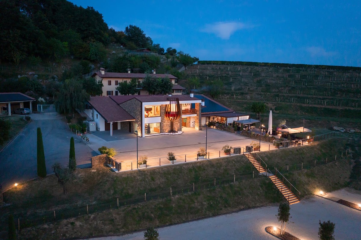 AZIENDA AGRICOLA ALTURIS S.S.A. - Cantina e Bottiglieria