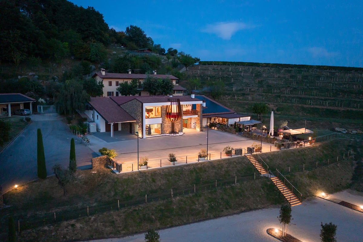 AZIENDA AGRICOLA ALTURIS S.S.A. - Cantina e Bottiglieria