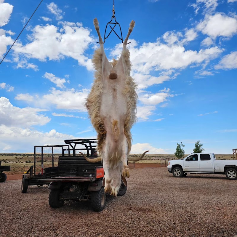 Blue Rooster Hunting Ranch - Photo 5