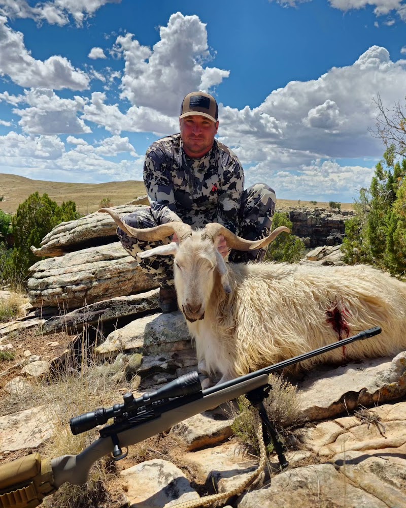 Blue Rooster Hunting Ranch - Photo 4