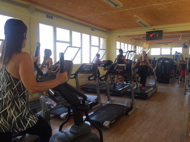 Wellness Program