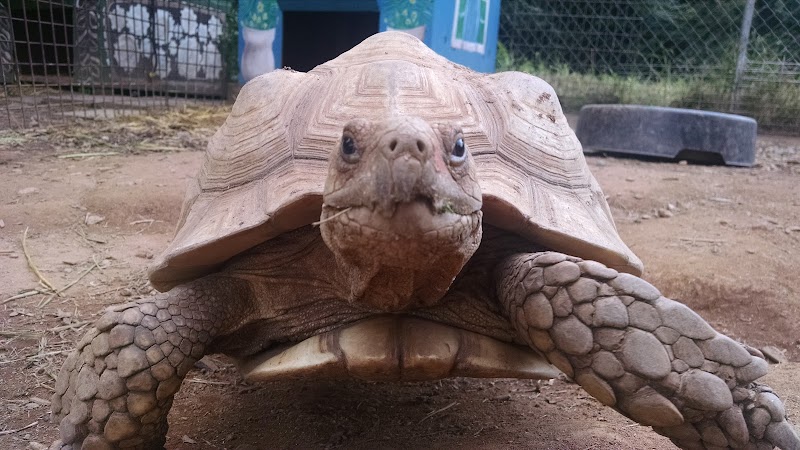 Wildlife Wonders - Photo 2