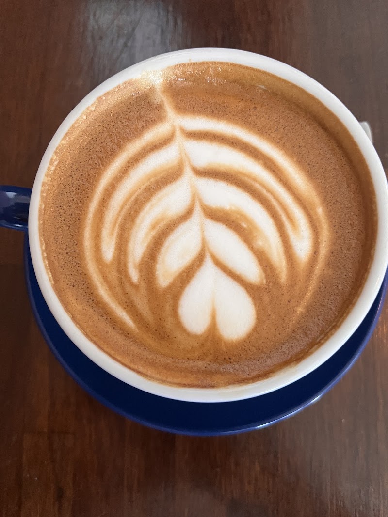 Amherst Coffee + Bar photo 4