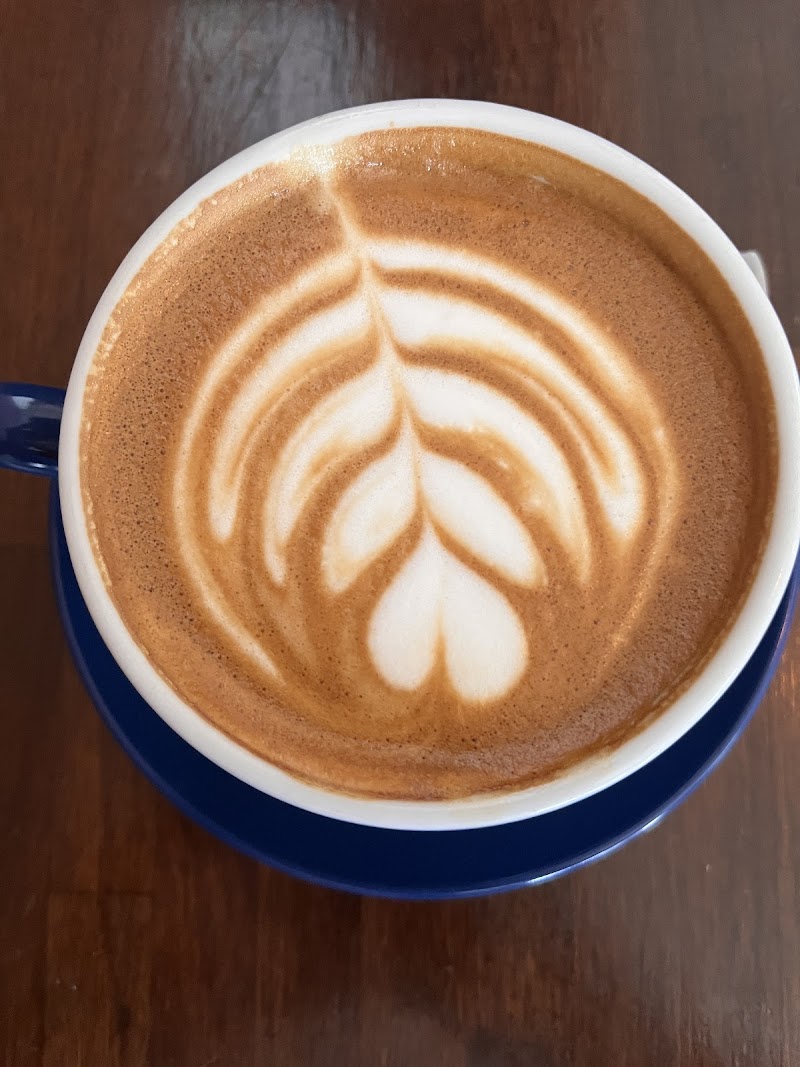 Amherst Coffee + Bar photo 4