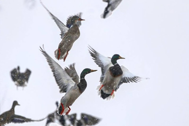Prairie Rock Outfitters - Photo 2