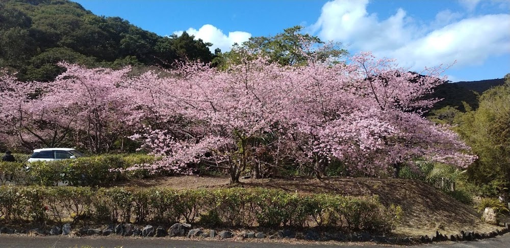 奄美フォレストポリス