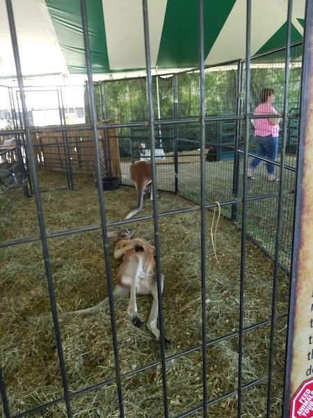 Gouverneur & St. Lawrence County Fairgrounds