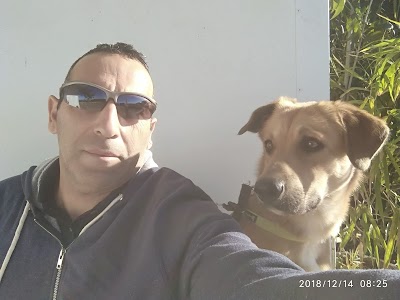 איתי סבג וטרינר