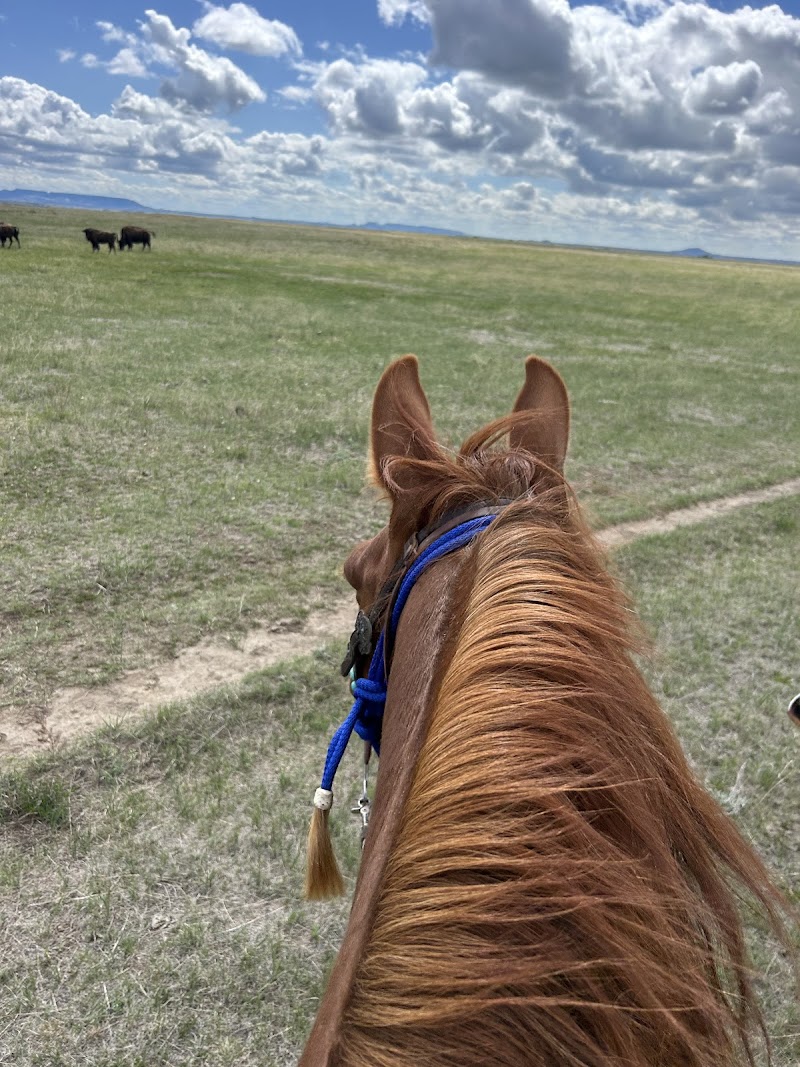 King’s Guest Ranch LLC - Photo 2