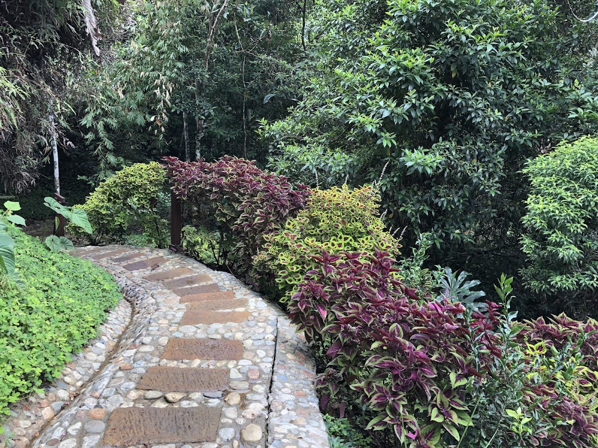Vanadurga Ashram Santuario de Yoga — 3